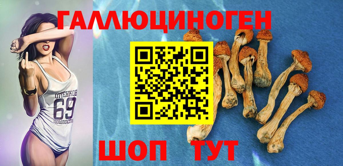 где купить наркотик  Псилоцибиновые грибы Cubensis  Вход с VPN  Шадринск 